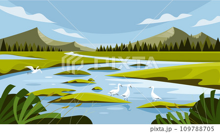 Wetland landscape 109788705
