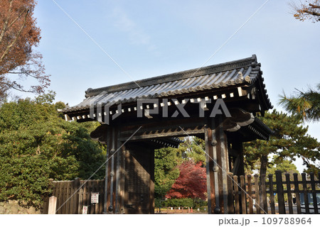 蛤御門 京都御苑 秋 蛤御門 京都御苑 秋 109788964
