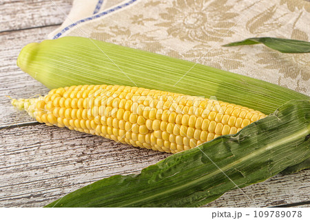 Yellow sweet raw cob corn 109789078