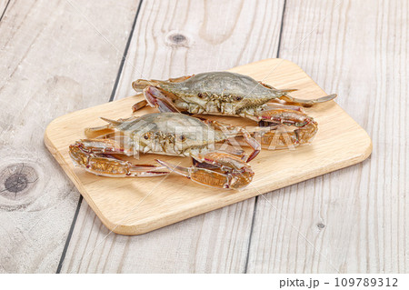 Two raw crab for cooking 109789312