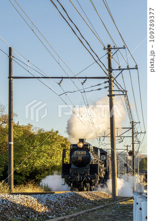 SL　パレオエクスプレス　長瀞駅付近から撮影 109789377