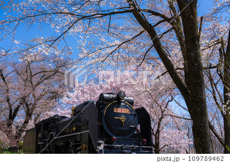 【桜素材】SLと桜【長野県】 【桜素材】SLと桜【長野県】 109789462