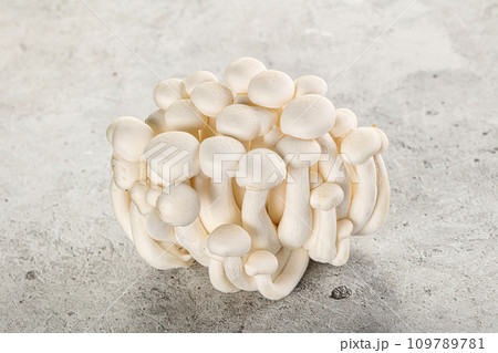 Japanese Shimeji mushroom for cooking Japanese Shimeji mushroom for cooking 109789781