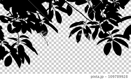 葉剪影 葉剪影 109789928