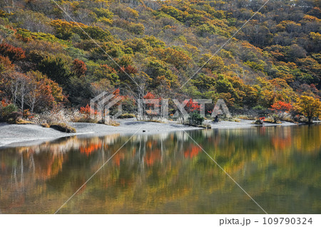 赤城山 小沼の秋 赤城山 小沼の秋 109790324