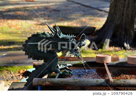 福島県会津若松市蚕養町　パワースポット蚕養国神社参拝 109790426