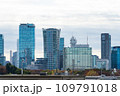渋谷のビル群 109791018
