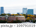 東京のビル群と秋の代々木公園 109791019
