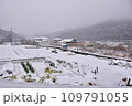 雪の積もった里山 109791055
