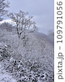 雪化粧した山 109791056