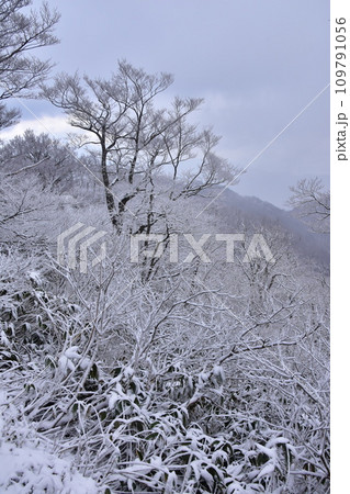 雪化粧した山 109791056