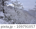 雪降る山 109791057