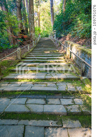 （静岡県袋井市）目の霊山・油山寺　参道の石段 109791076