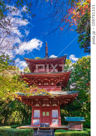 （静岡県袋井市）目の霊山、秋の油山寺・三重塔 109791333