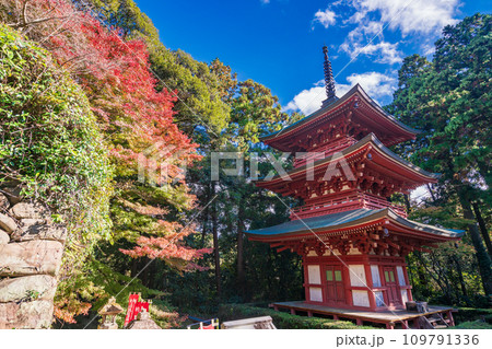 （静岡県袋井市）目の霊山、秋の油山寺・三重塔 109791336