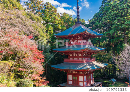 （静岡県袋井市）目の霊山、秋の油山寺・三重塔 109791338