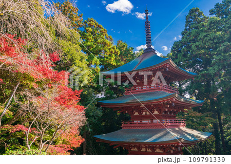 （静岡県袋井市）目の霊山、秋の油山寺・三重塔 109791339