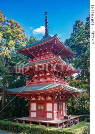(静岡県袋井市)目の霊山、秋の油山寺・三重塔 (静岡県袋井市)目の霊山、秋の油山寺・三重塔 109791341