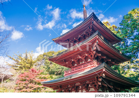 （静岡県袋井市）目の霊山、秋の油山寺・三重塔 109791344