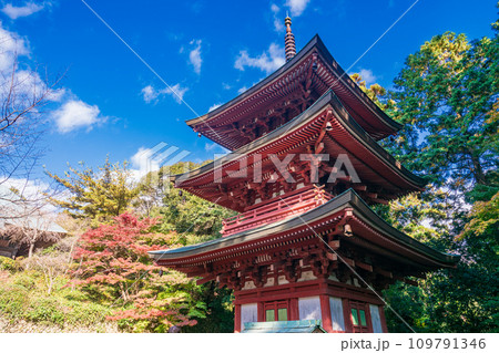 （静岡県袋井市）目の霊山、秋の油山寺・三重塔 109791346