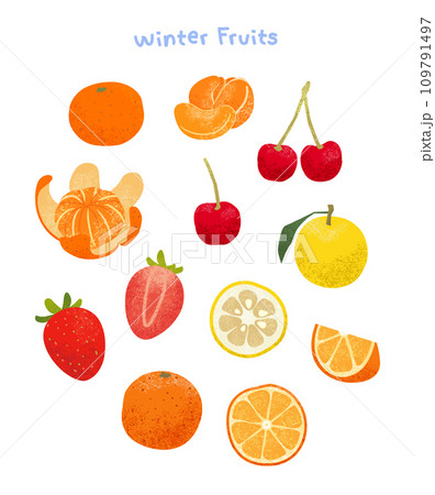 colored pencil like winter fruit illustration 109791497