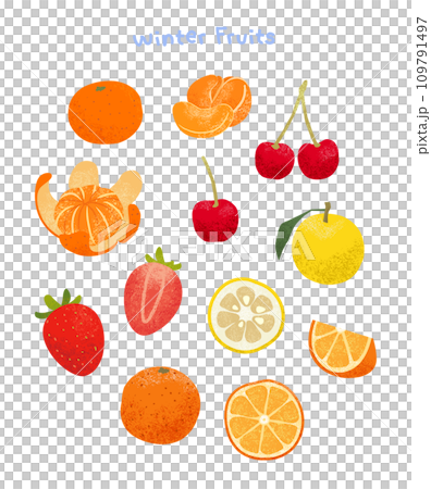 colored pencil like winter fruit illustration 109791497
