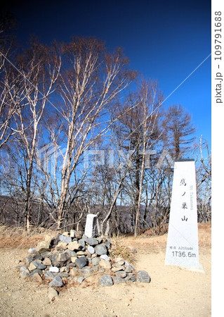 鷹ノ巣山 109791688
