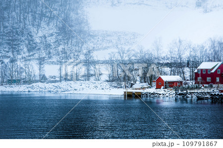 Norwegian Fjords in winter 109791867
