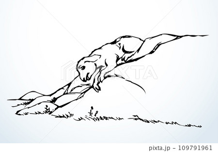 Vector drawing. The sheep got lost in the field Vector drawing. The sheep got lost in the field 109791961