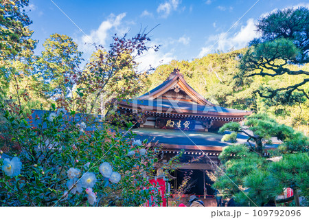 （静岡県袋井市）目の霊山・油山寺　宝生殿にお参りする人 109792096