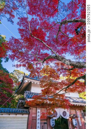 （静岡県袋井市）目の霊山・油山寺　紅葉が美しい、山門 109792305