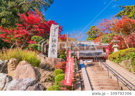 (静岡県袋井市)目の霊山・油山寺 紅葉が美しい、山門 (静岡県袋井市)目の霊山・油山寺 紅葉が美しい、山門 109792306