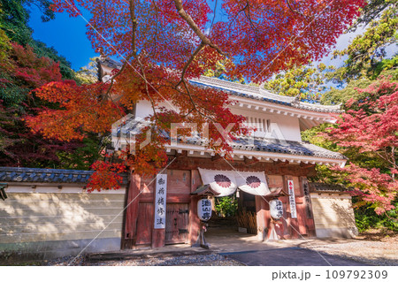 （静岡県袋井市）目の霊山・油山寺　紅葉が美しい、山門 109792309