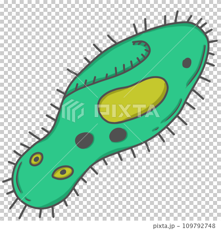 illustration of Paramecium illustration of Paramecium 109792748
