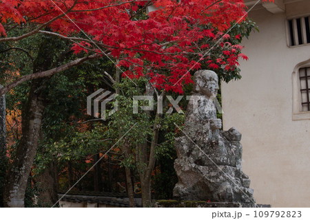 画聖雪舟ゆかりの禅寺　＃宝福寺　＃井山宝福寺　 109792823