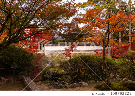 画聖雪舟ゆかりの禅寺 #宝福寺 #井山宝福寺  画聖雪舟ゆかりの禅寺 #宝福寺 #井山宝福寺  109792825