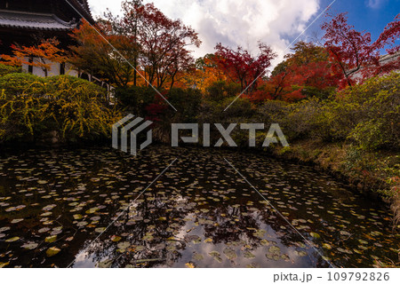 画聖雪舟ゆかりの禅寺　＃宝福寺　＃井山宝福寺  ＃本殿　 109792826