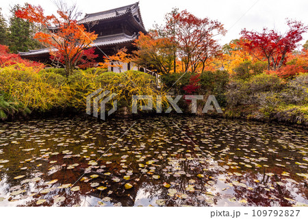 画聖雪舟ゆかりの禅寺 #宝福寺 #井山宝福寺 #本殿 画聖雪舟ゆかりの禅寺 #宝福寺 #井山宝福寺 #本殿 109792827