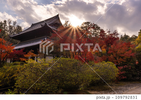 画聖雪舟ゆかりの禅寺 #宝福寺 #井山宝福寺  #本殿  画聖雪舟ゆかりの禅寺 #宝福寺 #井山宝福寺  #本殿  109792831