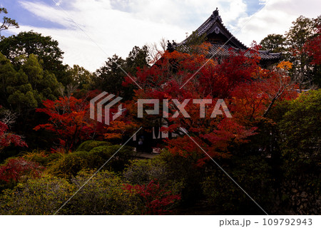 画聖雪舟ゆかりの禅寺 #宝福寺 #井山宝福寺 #本殿 画聖雪舟ゆかりの禅寺 #宝福寺 #井山宝福寺 #本殿 109792943
