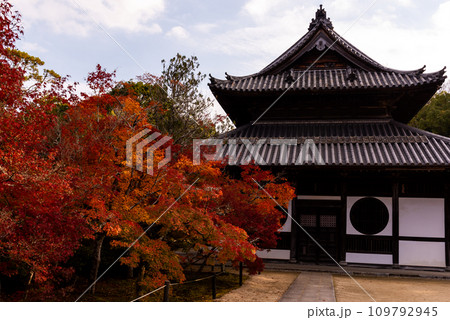 画聖雪舟ゆかりの禅寺　＃宝福寺　＃井山宝福寺  ＃本殿　 109792945