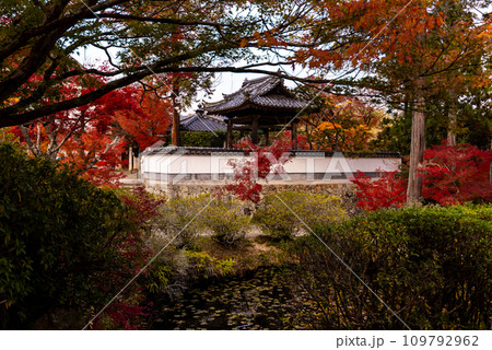 画聖雪舟ゆかりの禅寺 #宝福寺 #井山宝福寺 画聖雪舟ゆかりの禅寺 #宝福寺 #井山宝福寺 109792962