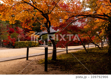 画聖雪舟ゆかりの禅寺 #宝福寺 #井山宝福寺  画聖雪舟ゆかりの禅寺 #宝福寺 #井山宝福寺  109792966