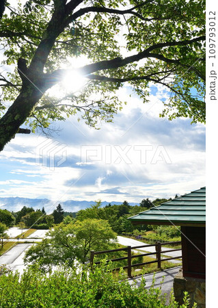 キャンプ場の朝(長野県) キャンプ場の朝(長野県) 109793012