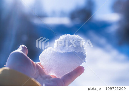 手のひらに乗せた雪 手のひらに乗せた雪 109793209