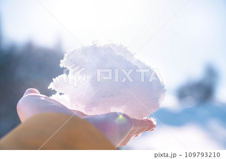 手のひらに乗せた雪 手のひらに乗せた雪 109793210