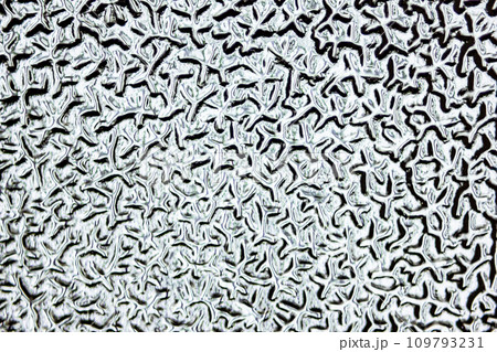 型板ガラス 型板ガラス 109793231