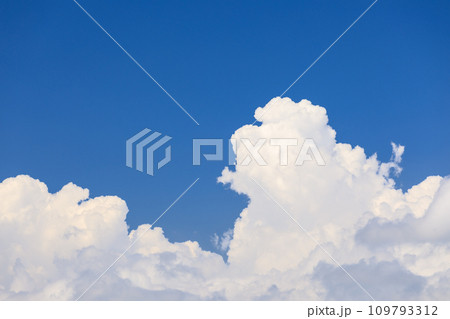夏雲のイメージ 109793312