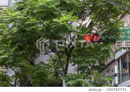 ランドマーク 名所 道路標識 109793741