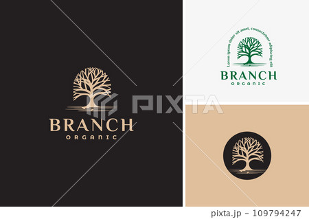 Vector tree branch organic nature logo design 109794247